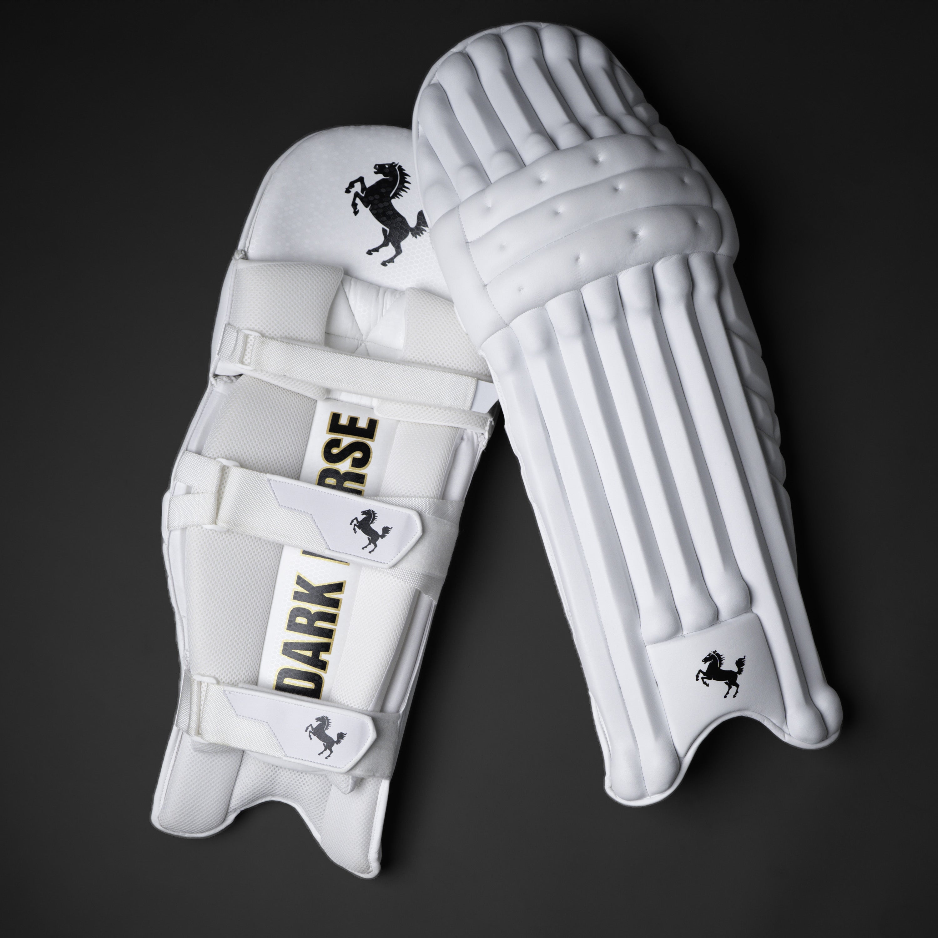 BATTING PADS