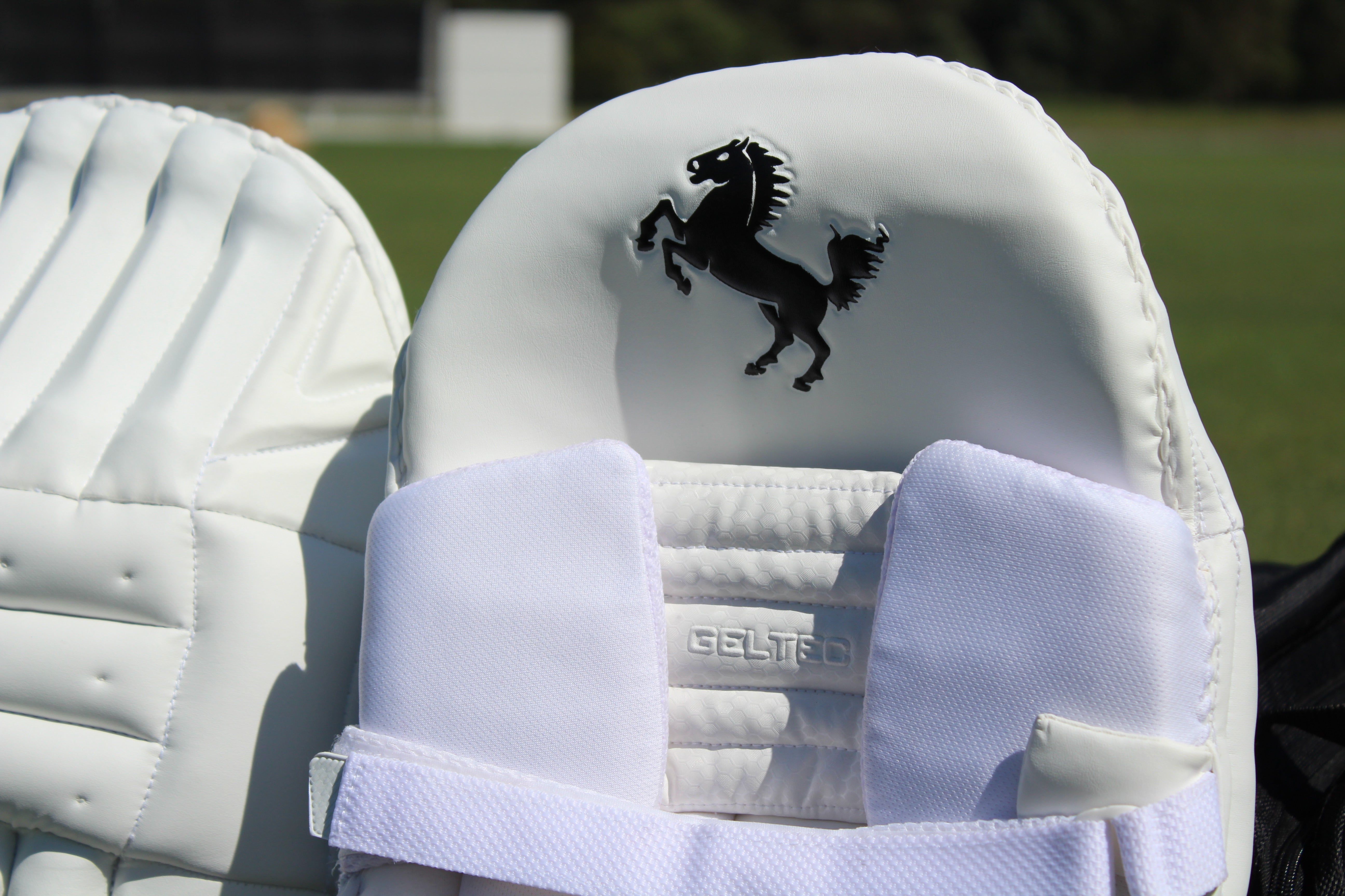 DARK HORSE BATTING PADS - PLAYERS EDITION