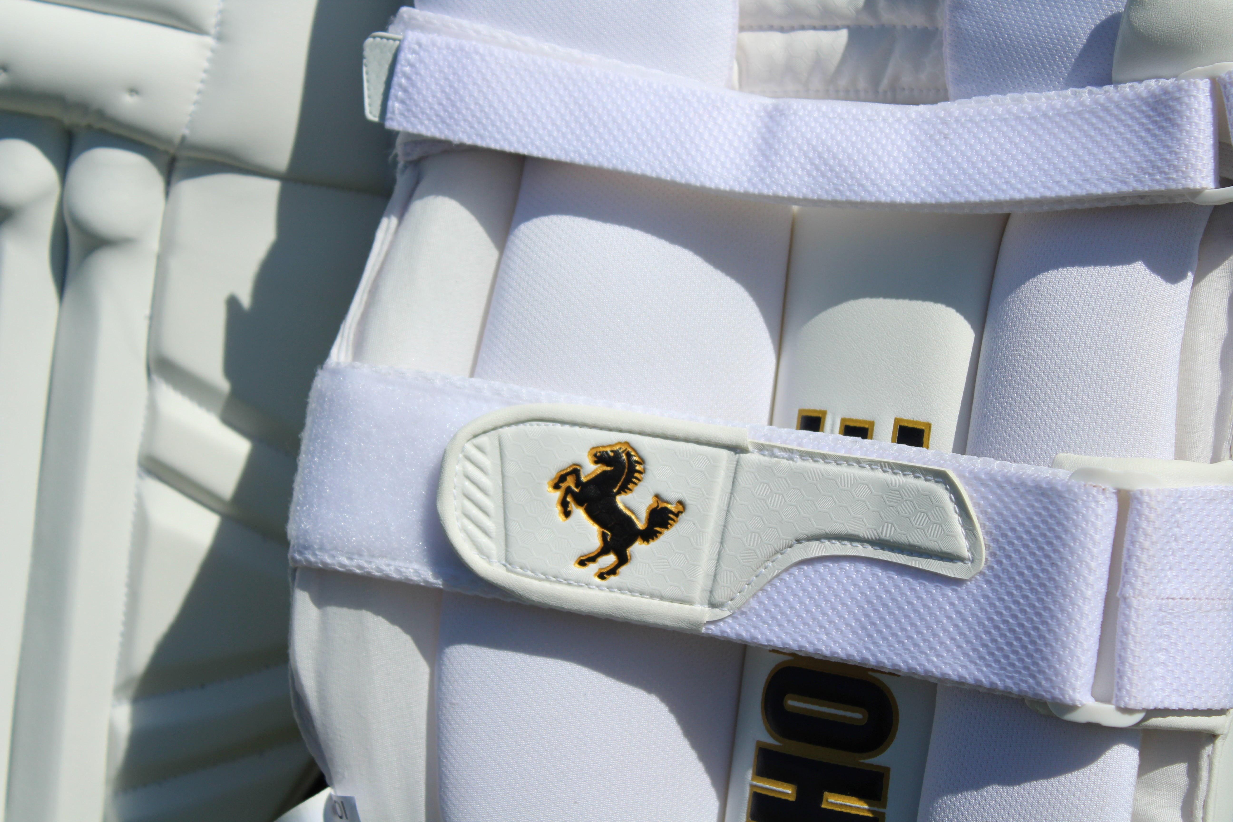 DARK HORSE BATTING PADS - PLAYERS EDITION