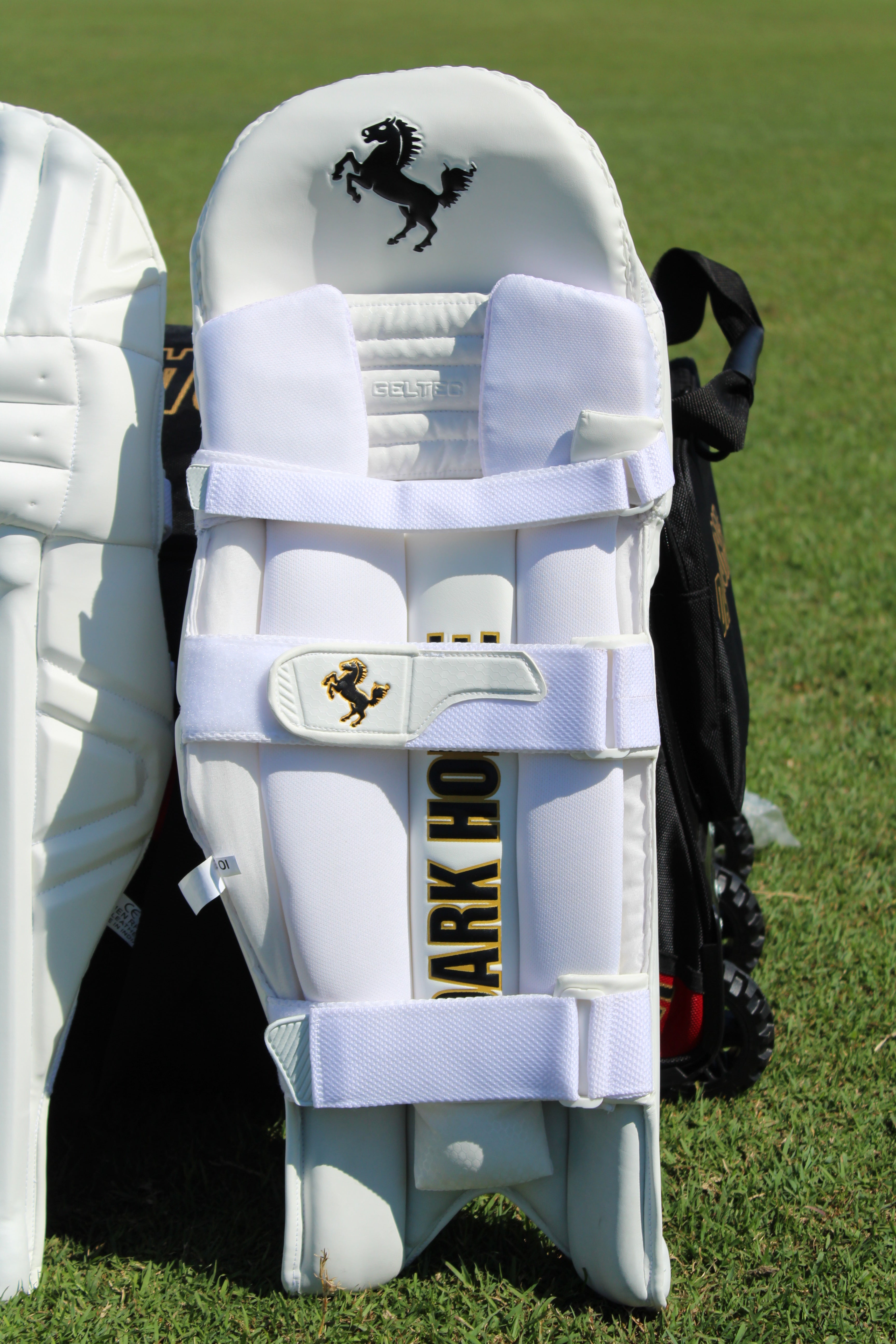 DARK HORSE BATTING PADS - PLAYERS EDITION