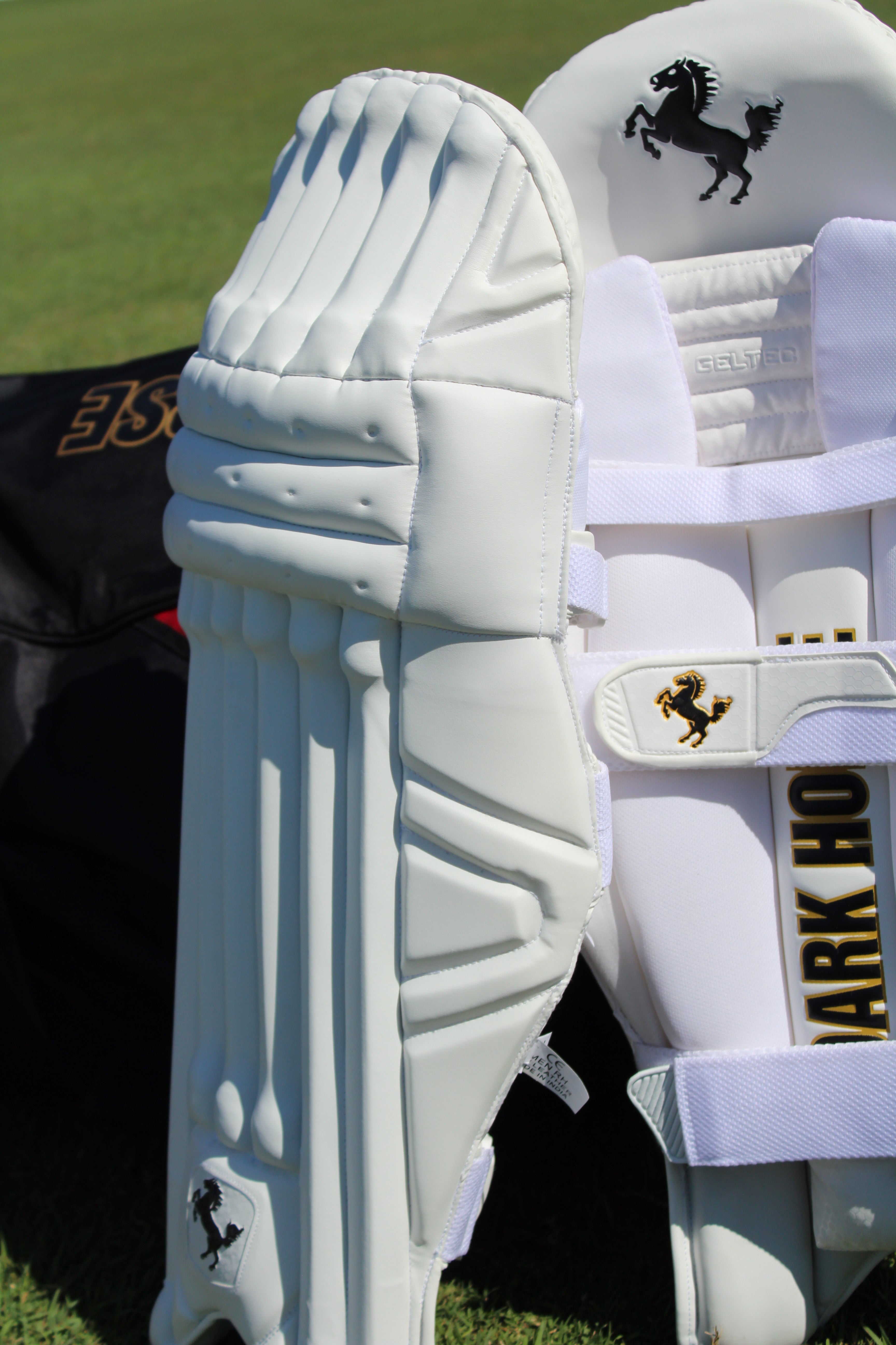 DARK HORSE BATTING PADS - PLAYERS EDITION