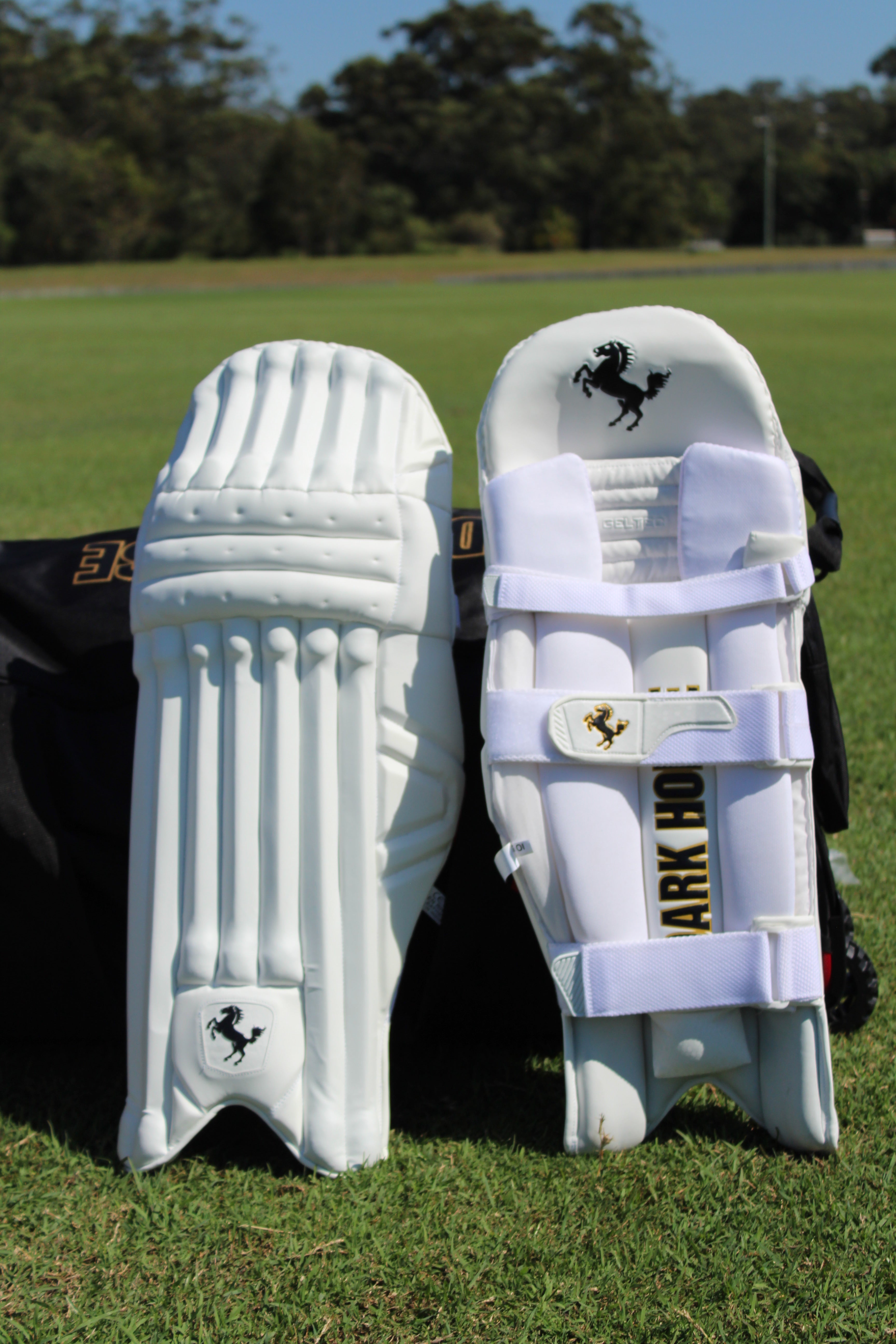 DARK HORSE BATTING PADS - PLAYERS EDITION