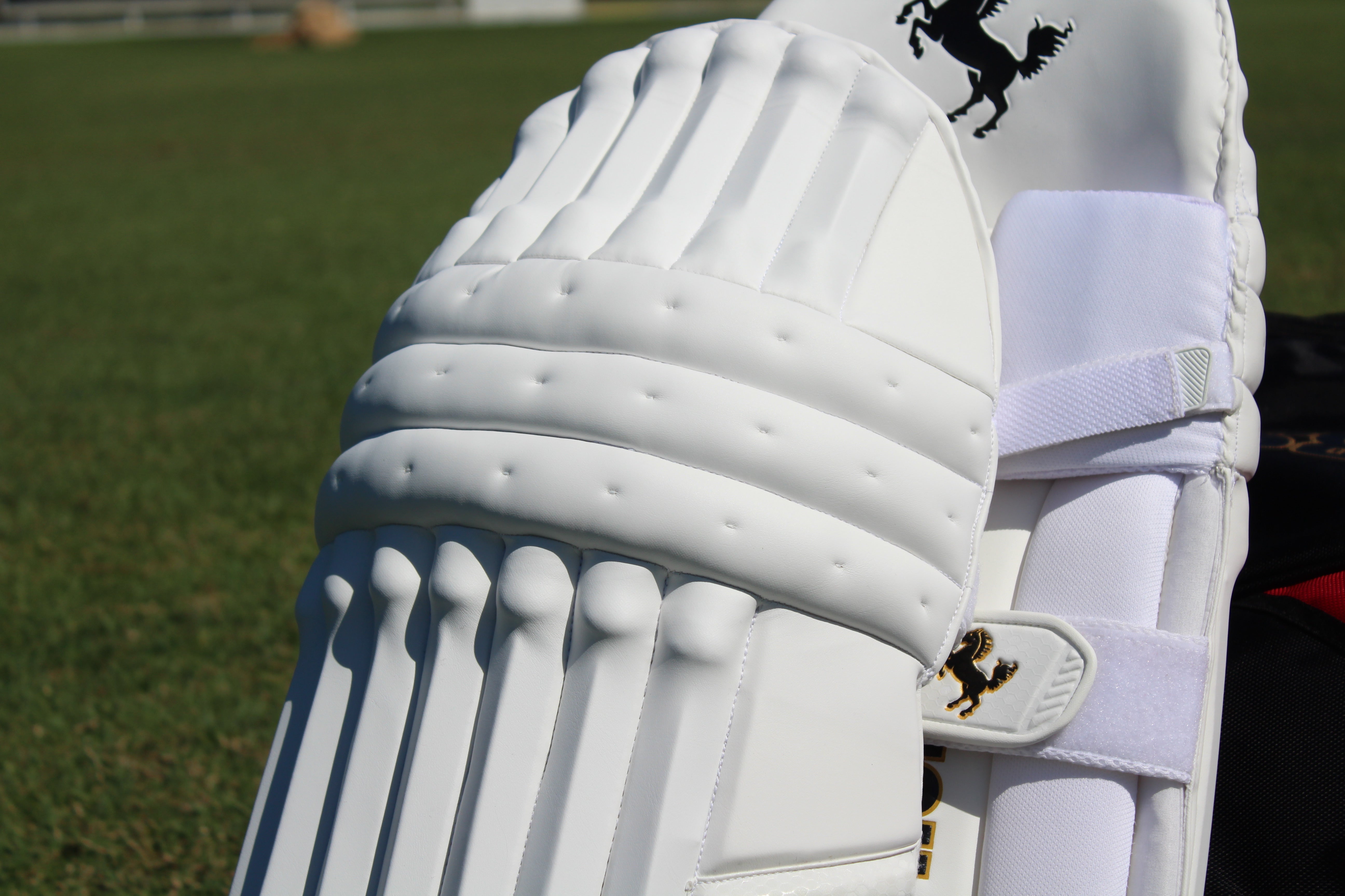 DARK HORSE BATTING PADS - LIMITED EDITION