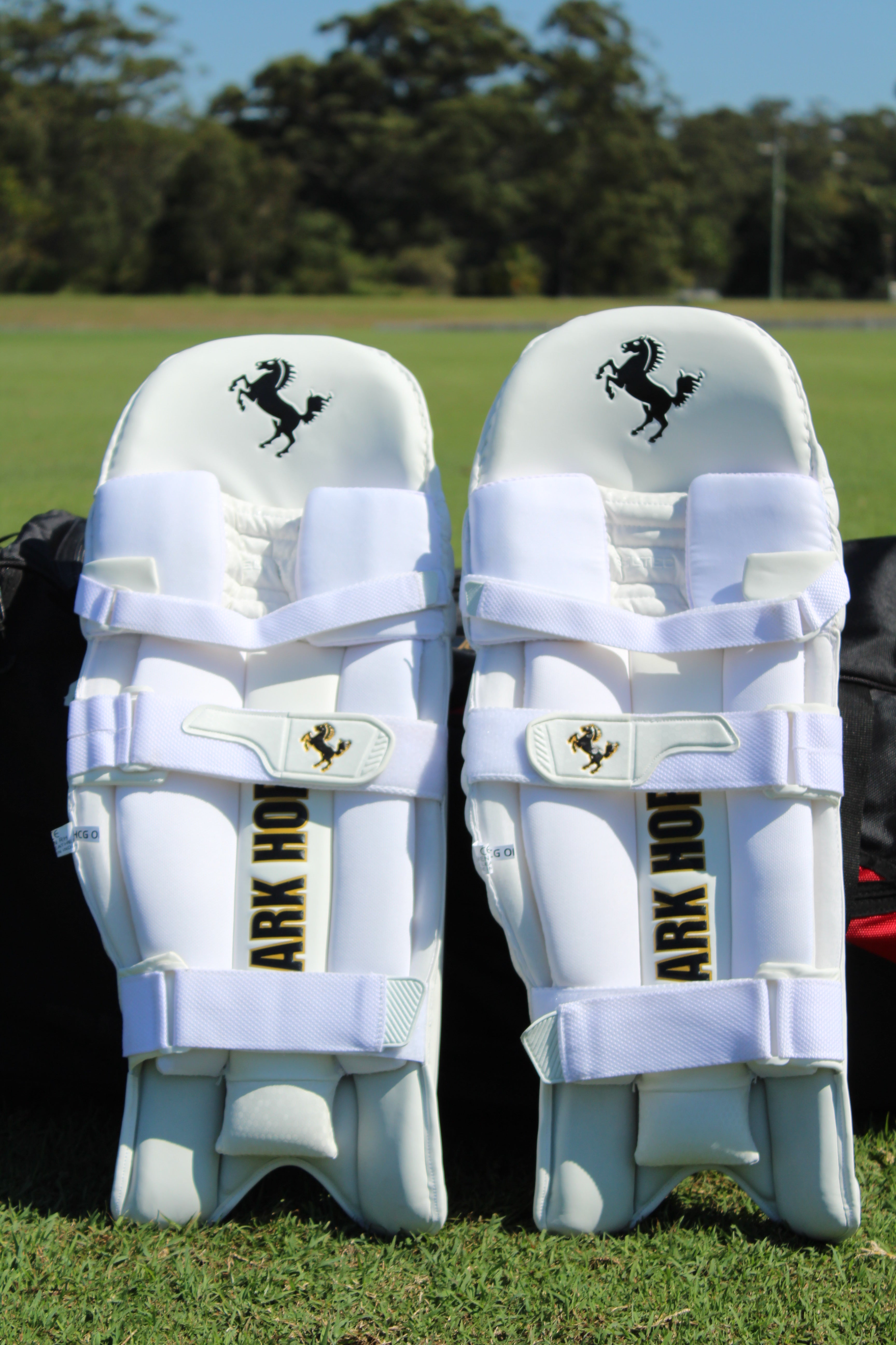 DARK HORSE BATTING PADS - LIMITED EDITION