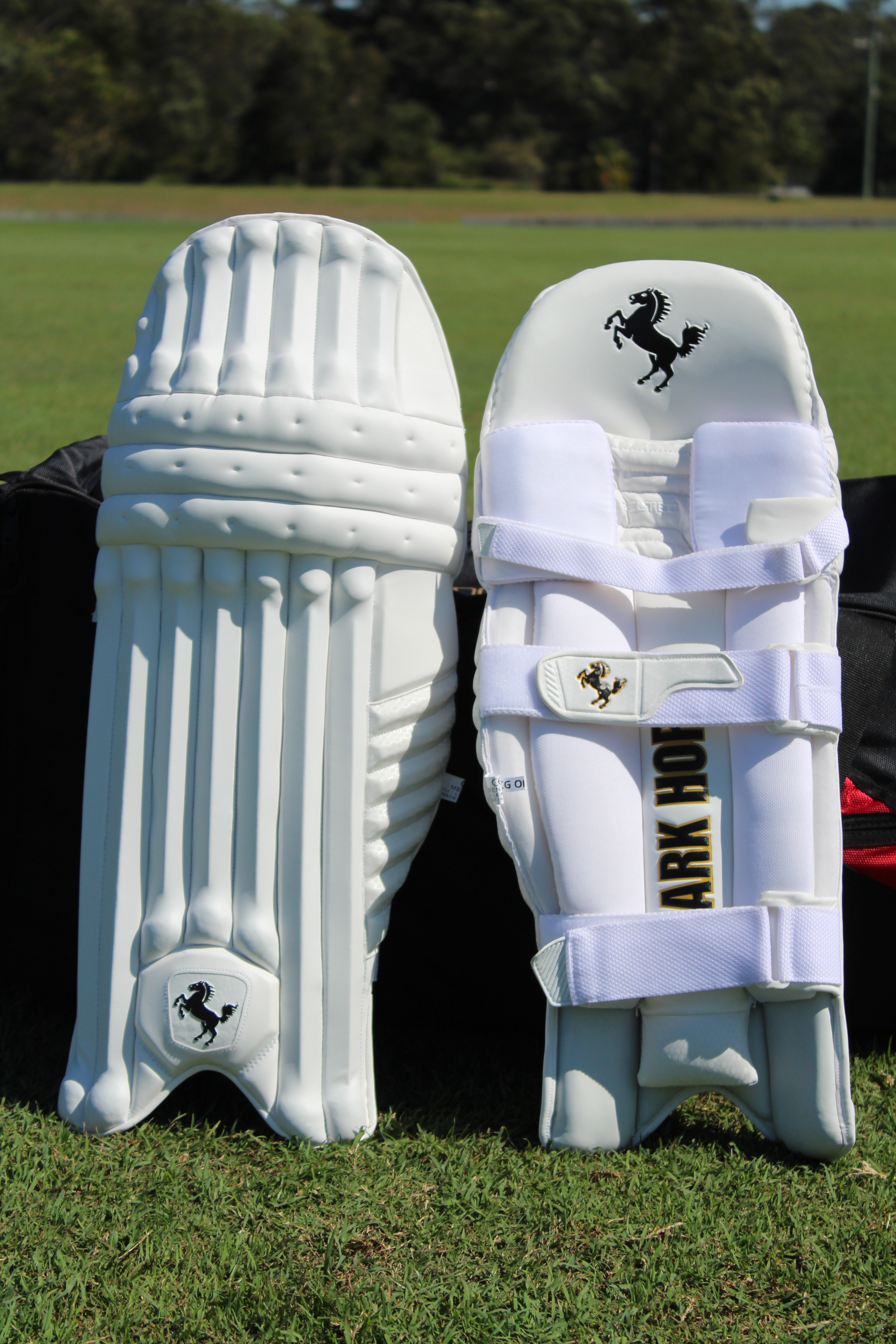 DARK HORSE BATTING PADS - LIMITED EDITION