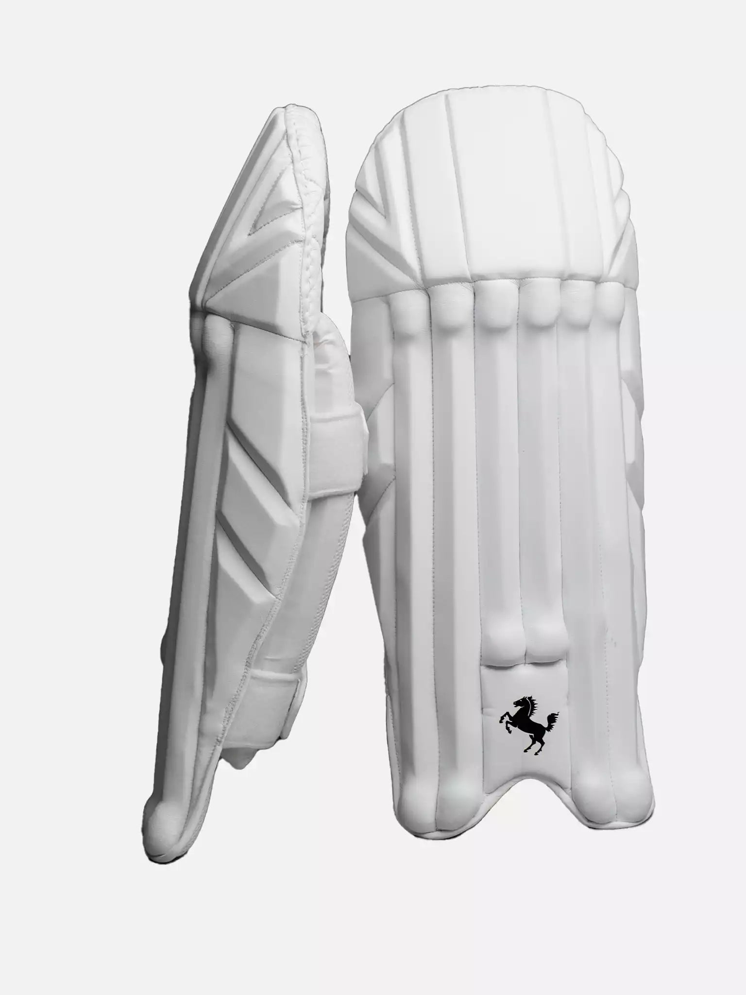 DARK HORSE CRICKET KEEPING PADS