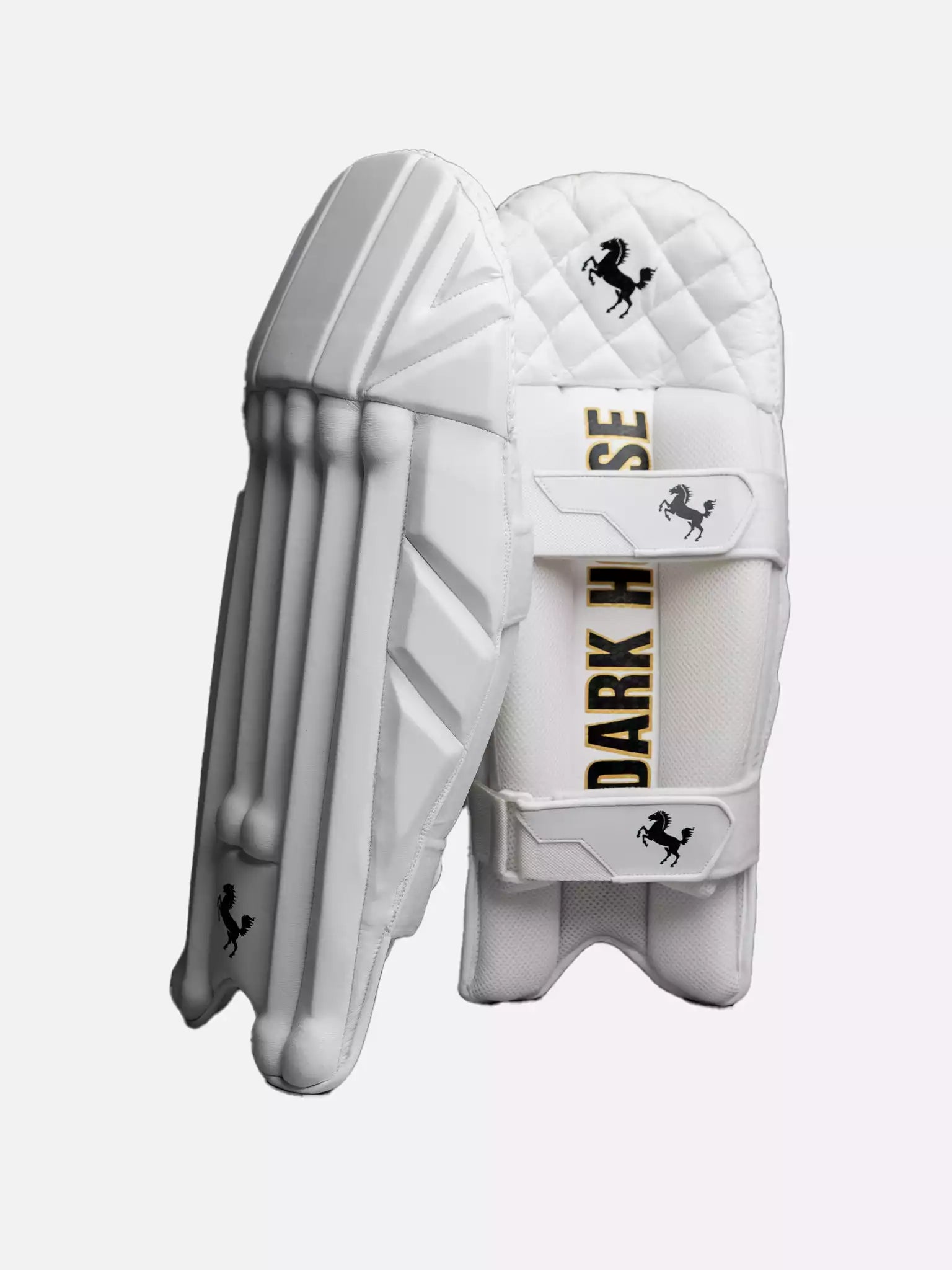 DARK HORSE CRICKET KEEPING PADS